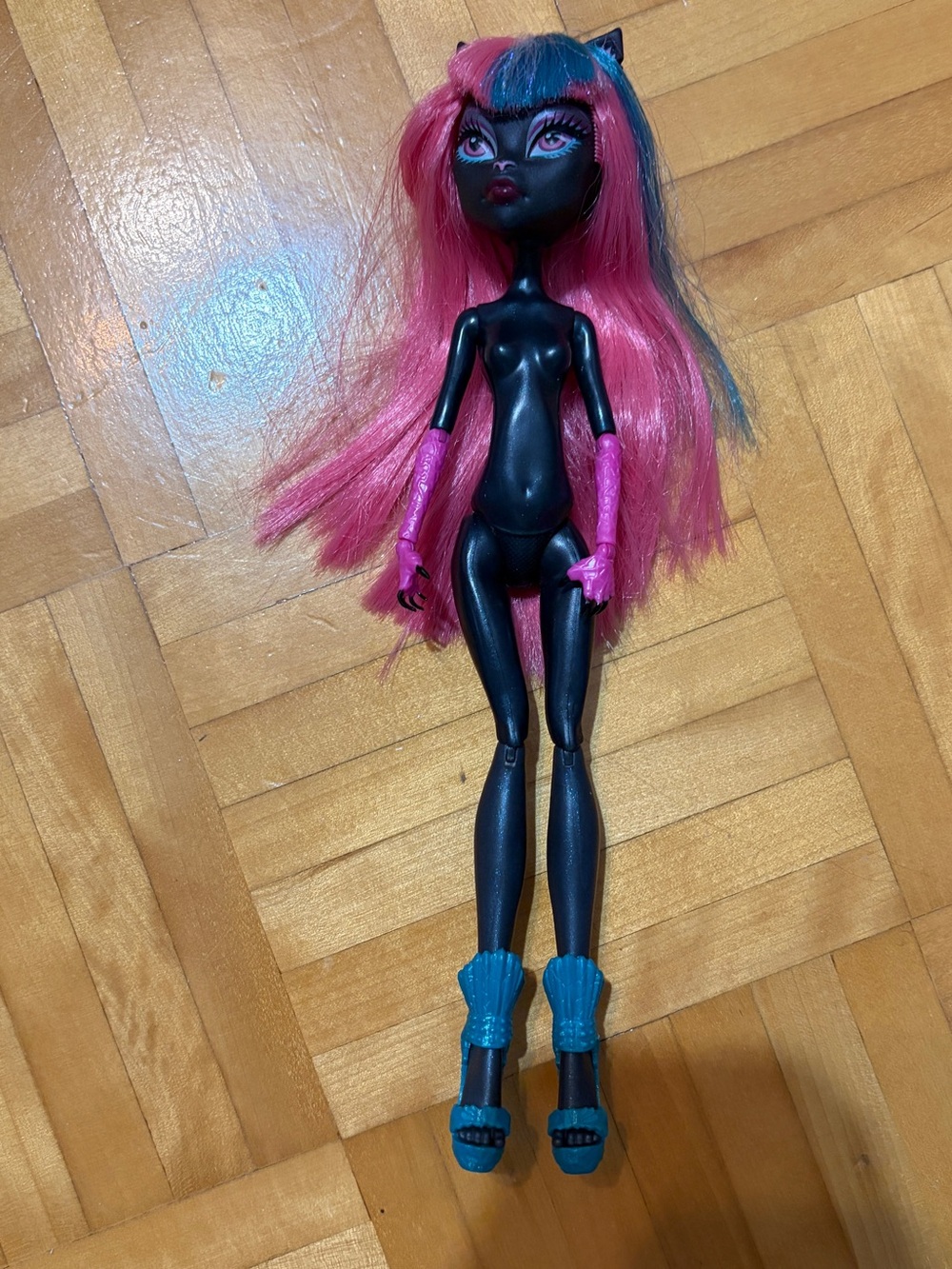 monster high Pink and Teal Long-Hair Fashion Doll